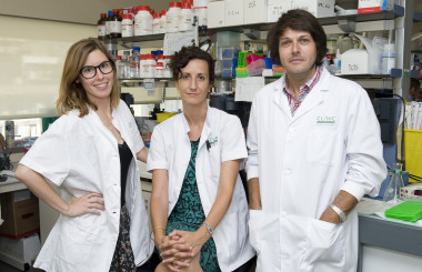 <p>De izquierda a derecha: Sara Ramírez, Alicia Gómez-Valadés y Marc Claret, del laboratorio de Diabetes y Obesidad del IDIBAPS. / IDIBAPS</p>
