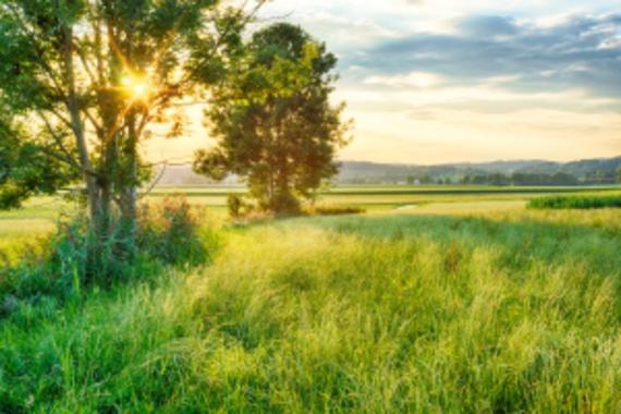 <p>El trabajo estima asociaciones beneficiosas entre los indicadores de comportamiento y un mayor tiempo dedicado a espacios verdes y playas. / CREAL</p>