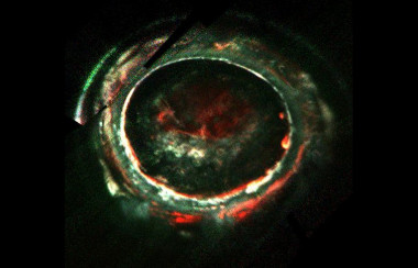<p>Aurora en la región sur de Júpiter obtenida por el instrumento el intrumento UVS (UltraViolet Spectrograph) de Juno el 2 de febrero de 2017. / G. Randy Gladstone</p>