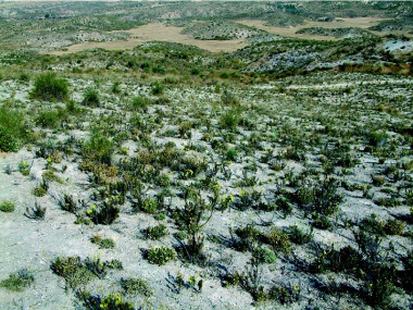 
<!-- START: including template: extension/sinc/design/ezwebin/templates/content/datatype/view/ezxmltags/paragraph.tpl (design:content/datatype/view/ezxmltags/paragraph.tpl) -->
<p>Plantas amenazadas</p>
<!-- STOP: including template: extension/sinc/design/ezwebin/templates/content/datatype/view/ezxmltags/paragraph.tpl (design:content/datatype/view/ezxmltags/paragraph.tpl) -->
