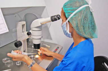 <p>Mientras que desde hace años se sabía el impacto negativo de las contracciones en la fecundación <em>in vitro</em> (en la imagen), hasta ahora se desconocía qué efecto tenía en una inseminación artificial. / Sinc</p>