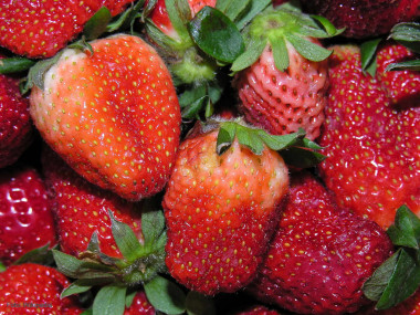 <p> Fresas.</p>