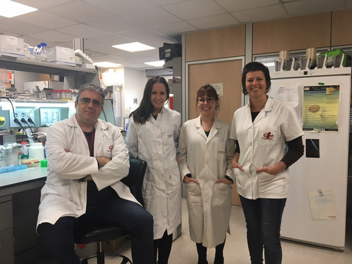 <p>Los investigadores Àlex Vaquero, Jessica González, Helena Raurell i Laia Bosch. / IDIBELL</p>