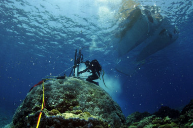 <p class=" text-left">Trabajo de campo en corales del Océano Índico para recoger información sobre el clima del pasado./ Eric Matson, Australian Institute of Marine Science. </p>