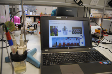 <p>Las lenguas electrónicas pueden convertirse en un aliado del agricultor vitivinícola (UPV)</p>