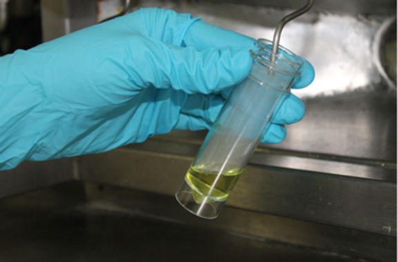 <p>Las investigaciones se han realizado utilizando dos especies de microalgas. / ainia</p>