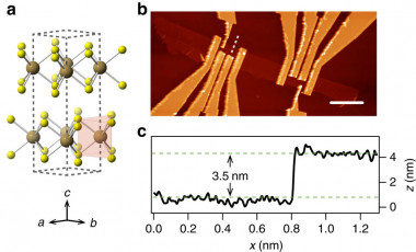 <p>Modelos, imágenes y gráficos del disulfuro de tántalo (TaS<sub>2</sub>). / UV</p>