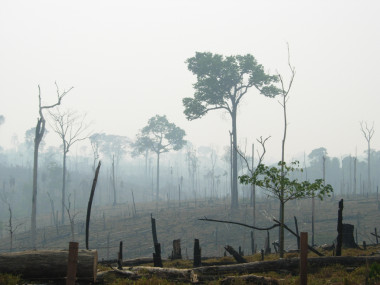<p>Deforestación en el Amazonas./Alexander Lees.</p>