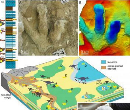 <p>Reconstrucción del ambiente donde vivieron los dinosaurios. / Unizar.</p>