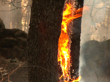 <p>La efectividad de los medios de extinción de fuegos es menor en condiciones de alta temperatura. / <a href="https://www.flickr.com/photos/elentir/209504017/sizes/o/in/photostream/" target="_blank">Elenti</a> </p>