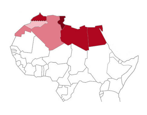 <p>Las poblaciones norteafricanas son el resultado de una migración de vuelta a África, tras el contacto de los humanos modernos con los neandertales en Oriente Próximo. Imagen: CSIC.</p>