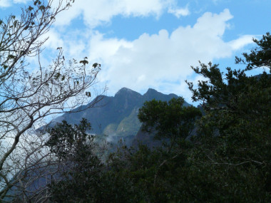 <p>Tres Picos, Reserva de la Biosfera de La Sepultura (Chiapas, México). En este enclave, al igual que en numerosas otras zonas de montaña de este país, hay un sistema de pagos por servicios hidrológicos. | UAM Gazette</p>