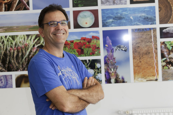 <p>Victoriano Mulero, investigador principal del grupo de investigación de Inmunidad, Inflamación y Cáncer de la Universidad de Murcia. / UMU</p>