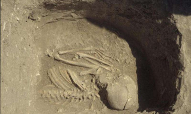 <p>Material humano hallado del asentamiento Kumtepde. / Project Troia / Peter Jablonka</p>