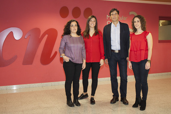 <p>De izquierda a derecha, Cristina Pantoja, Lluc Mosteiro, Manuel Serrano y Noelia Alcázar, del Grupo de Supresión Tumoral. / CNIO</p>