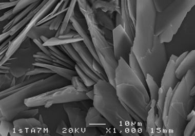 <p>Aspecto de la superficie de la capa de fosfato de calcio empleada para el estudio. / Nuria Monasterio/UPV/EHU</p>