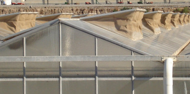 <p>Mallas de invernaderos. / Fundación Descubre</p>