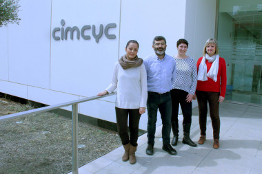 <p>En la imagen, los investigadores que han llevado a cabo esta investigación. / UGR</p>