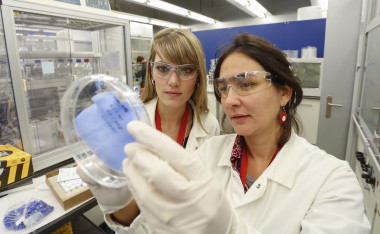 <p>Investigadoras del ICIQ observan una de las membranas que atrapan dióxido de carbono. / ICIQ</p>
