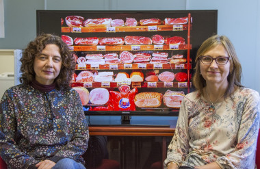 <p>Elena Boldo y Marina Pollán, investigadoras del Centro Nacional de Epidemiología y del CIBERESP del Instituto de Salud Carlos III. / CIBER</p>