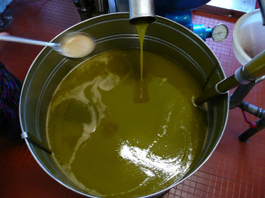 <p>Los expertos han estudiado por primera vez la presencia de micotoxinas en diferentes tipos de aceites, entre los que se encuentran distintas variedades de aceite de oliva. / Peter Forster</p>