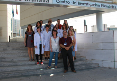 <p>El equipo de investigación de la UGR que ha llevado a cabo este trabajo. / UGR</p>