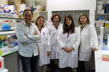 <p>Investigadores del grupo de Direccionamiento y Liberación Farmacológica del CIBBIM-Nanomedicine del Vall d’Hebron Institut de Recerca. / VHIR</p>