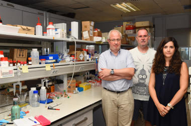 <p/>De izquierda a derecha, Ramón Martínez Máñez, Felix Sancenón y Mª del Mar Oroval, investigadores de la UPV y del CIBER-BBN. / UPV” /><span style=
