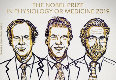 <p>William G. Kaelin Jr, Sir Peter J. Ratcliffe y Gregg L. Semenza, premios Nobel de Fisiología en 2019. / © The Nobel Committee for Physiology or Medicine | Mattias Karlén</p>