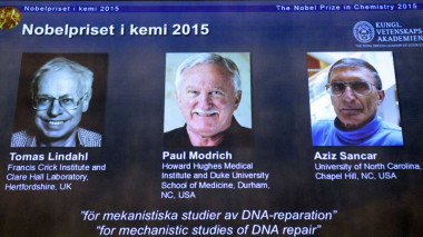 <p>Los tres galardonados con el Nobel de Química 2015. / Efe</p>