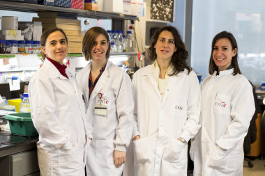 <p>De izquierda a derecha la Dra. Guadalupe Sabio, Bárbara González-Terán, Dra. Nuria Matesanz y Dra. Ivana Nikolic.</p>