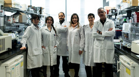los autores de la investigación
