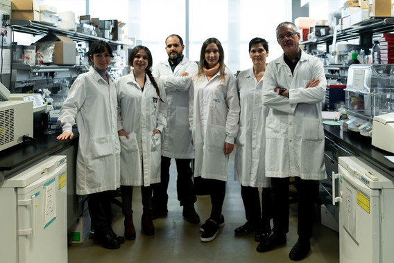 <p>Pilar Gonzalo, Rosa Nevado, Ricardo Villa-Bellosta, Magda R. Hamczyk, María J. Andrés-Manzano y Vicente Andrés. / CNIC</p>