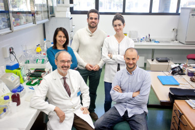 <p>En la imagen, Mario D. Cordero (a la derecha de la imagen) junto a sus compañeros de investigación. / Universidad de Sevilla</p>