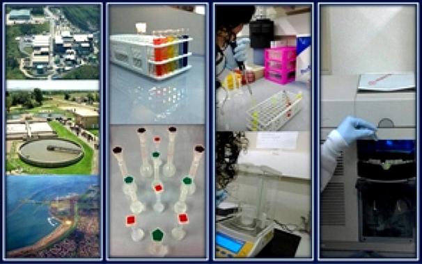 <p>Los investigadores resuelven problemas durante las etapas del proceso analítico. / UPV/EHU</p>