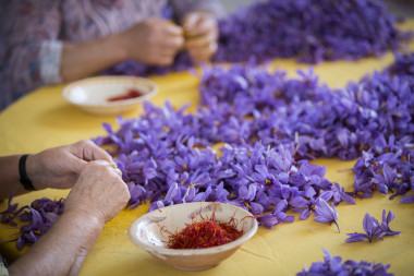<p/>El estigma rojo de la flor del azafrán es una de las especias más antiguas y caras del mundo. / DOP Azafrán de La Mancha” /><span style=