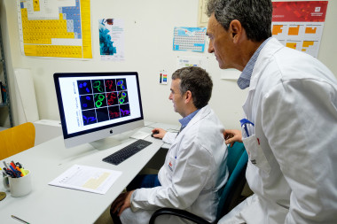 <p>Investigadores en un laboratorio del Departamento de Química de la Universidad de La Rioja</p>