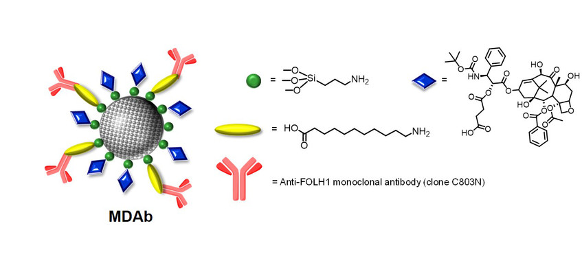<p>Esquema de la nanomedicina de docetaxel funcionalizada. / UPV</p>