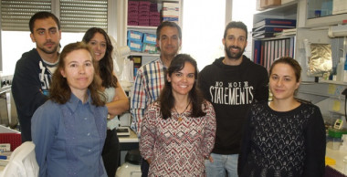 <p>Isidro Sánchez y su equipo./ CIC</p>