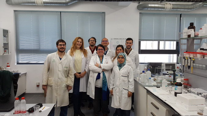 <p>Investigadores del Instituto de Investigación en Microscopía Electrónica y Materiales de la Universidad de Cádiz que han desarrollado el biosensor. / Fundación Descubre</p>