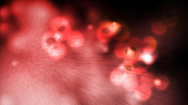 <p>Niveles altos de colesterol de membrana, como los presentes en enfermos de alzhéimer, probablemente bloqueen el receptor de adenosina, lo que podría a su vez estar relacionado con ciertos síntomas observados en esta enfermedad. / Universidad de Murcia</p>