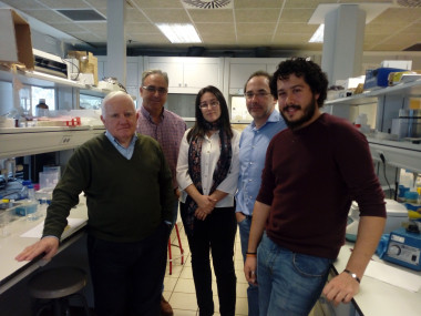 <p>El biosensor desarrollado por los investigadores puede detectar autoanticuerpos en fases muy tempranas de la enfermedad. / UPV/UV/Hospital La Fe</p>