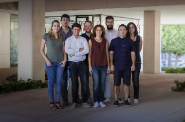 <p>En la imagen, el equipo de investigación del Instituto de Neurociencias de Alicante. / UMH</p>