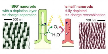 <p>Dos agrupaciones de nanocolumnas de óxido de tungsteno con diferentes radio y altura (70/700 nm a la izquierda y 13/130 nm a la derecha). Las nanocolumnas grandes son más efectivas en la separación fotoelectroquímica del agua, ya que las cargas fotogeneradas no se recombinen rápidamente como pasa en las pequeñas. / URV</p>