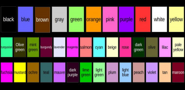 <p>Los 11 colores bÃ¡sicos (negro, azul, marrÃ³n, gris, verde, naranja, rosa, pÃºrpura, rojo, blanco y amarillo) y los 28 adicionales (turquesa, verde oliva, verde menta, borgoÃ±a, lavanda, magenta, salmÃ³n, cian, beige, rosado, verde oscuro, verde oliva, lila, amarillo pÃ¡lido, fucsia, mostaza, ocre, trullo, malva, pÃºrpura oscuro, verde lima, verde claro, ciruela, azul claro, melocotÃ³n, violeta, tan y granate. / Lu Yu et al.</p>