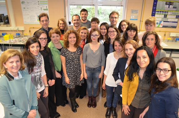 <p>El equipo científico español que ha intervenido en la investigación sobre la diabetes gestacional. / Universidad San Pablo CEU</p>