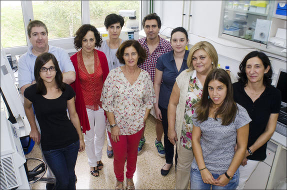<p>Equipo de investigación dirigido por Santos Alonso. / UPV/EHU</p>