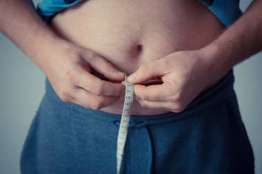 <p>Este estudio realizado en humanos ha demostrado la importancia del cambio de las marcas epigenéticas debido a la obesidad. / Pixabay</p>
