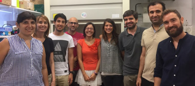 <p>La investigación está liderada por el equipo que dirige Manuel Vázquez Carrera. / UB</p>
