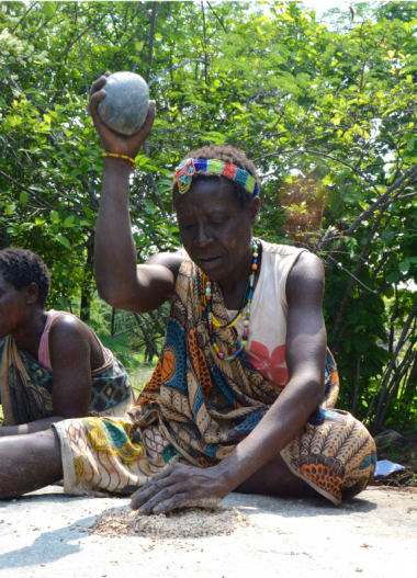 <p>Mujer hadza moliendo semillas de baobab. / Benito-Calvo <em>et al</em></p>